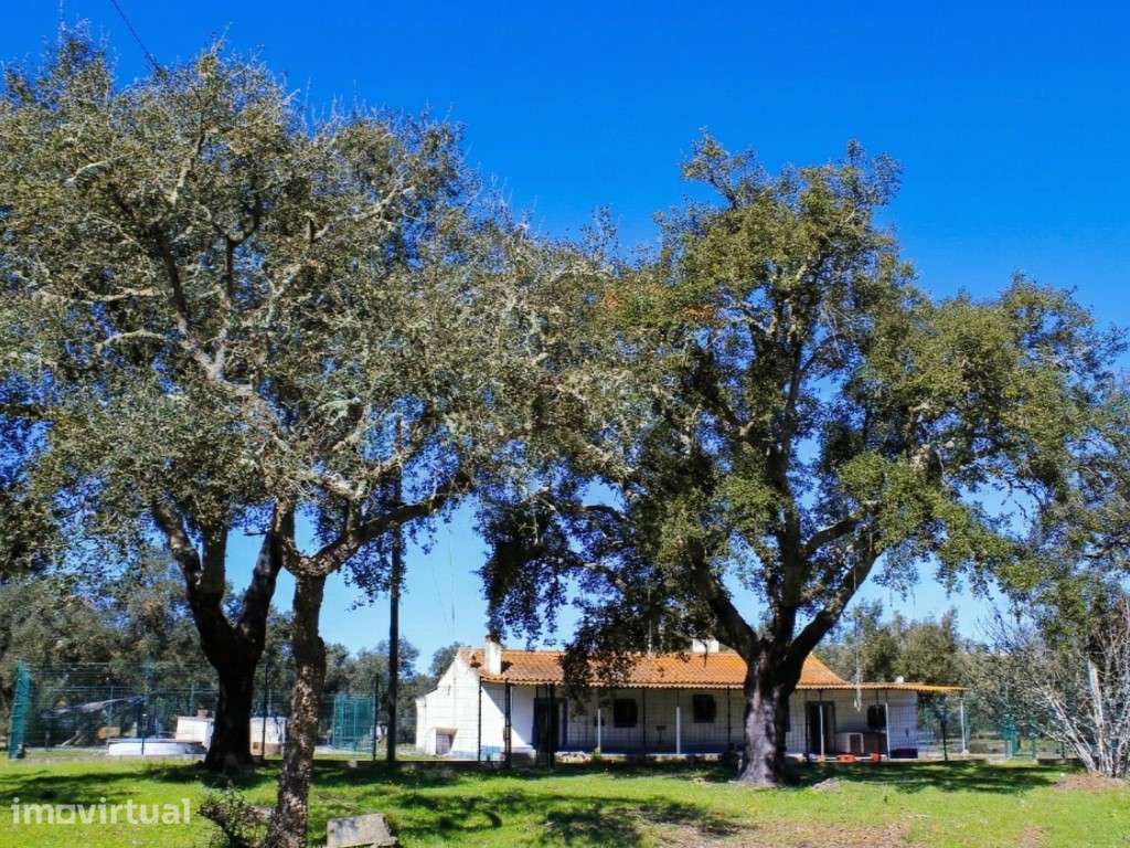 Casa de Campo para Recuperar em Santiago do Cacém - Grande imagem: 2/21