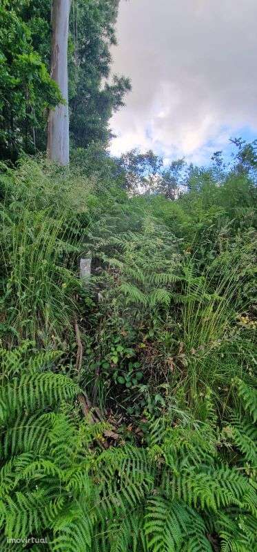 Terreno  para venda - Grande imagem: 2/3