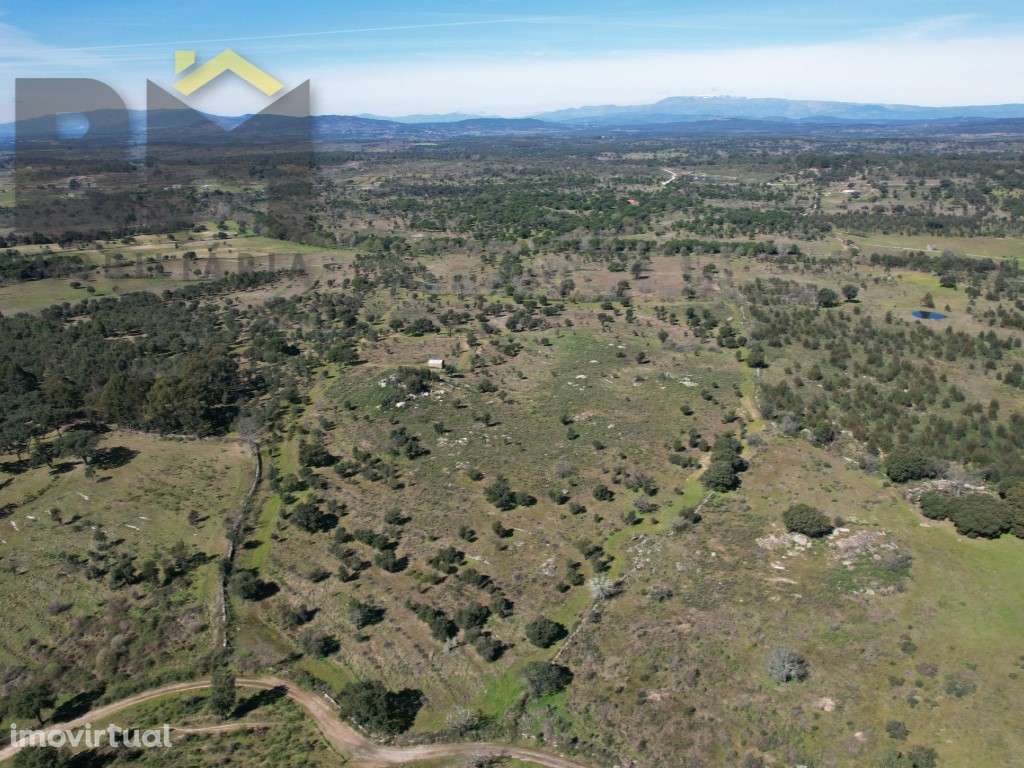 Refúgio Único em Penamacor: 7,6 Hectares de Natureza e Privacidade - Grande imagem: 5/9