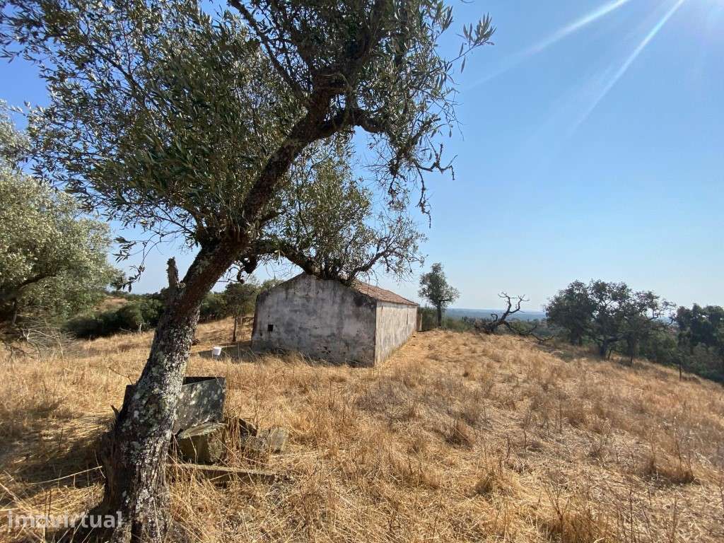 Terreno para construção com vista panorâmica em Melides - Grande imagem: 4/13