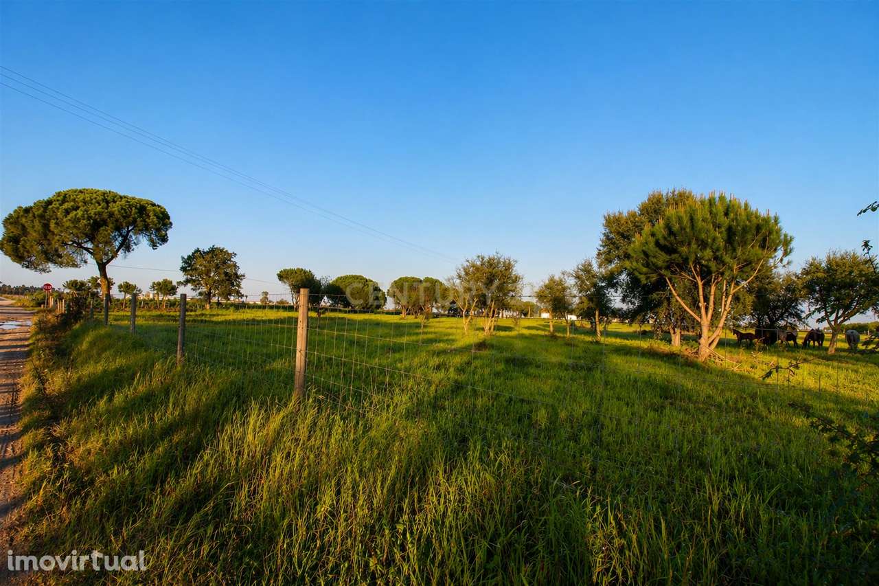 Terreno de 25.000 m² em Pegões com Grande Potencial de Construção! - Grande imagem: 5/17