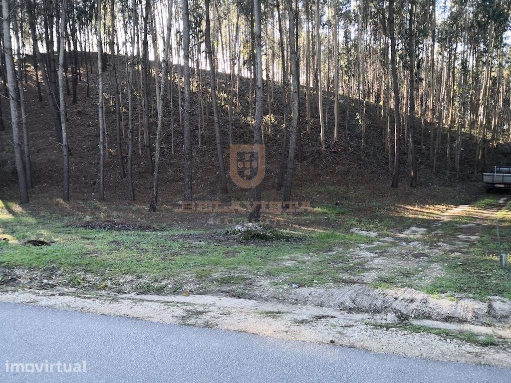 Oportunidade terreno para construir - Gondemaria - Grande imagem: 2/3