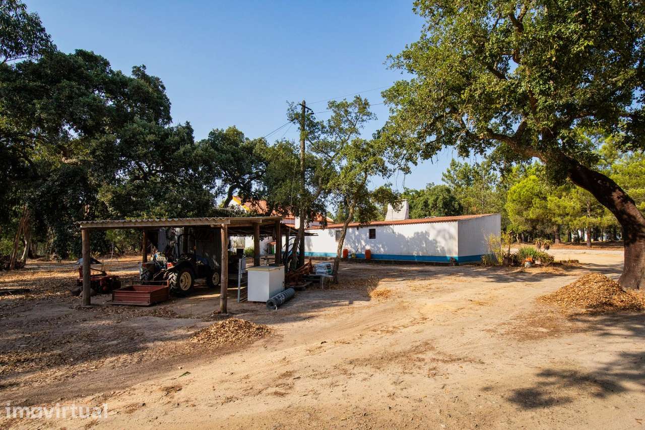 Quinta de 4 Hectares com Vista Mar e Potencial de Expansão –... - Grande imagem: 2/22