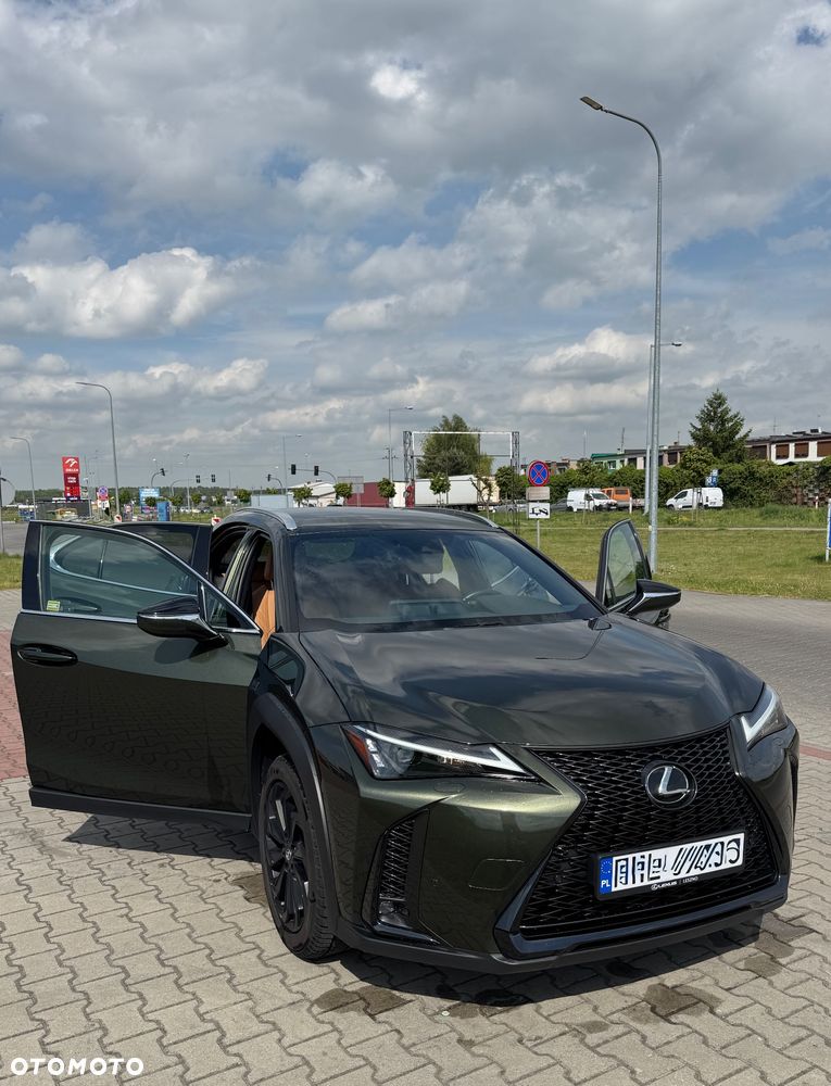 Lexus UX 250h F Sport 2WD - 15