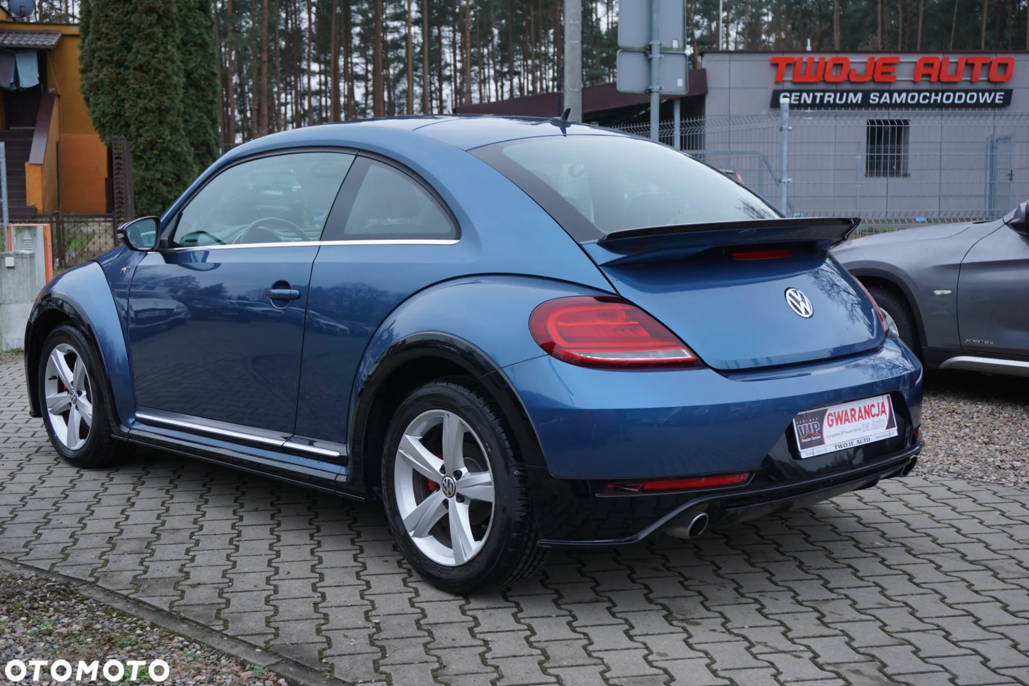 Volkswagen Beetle - 6