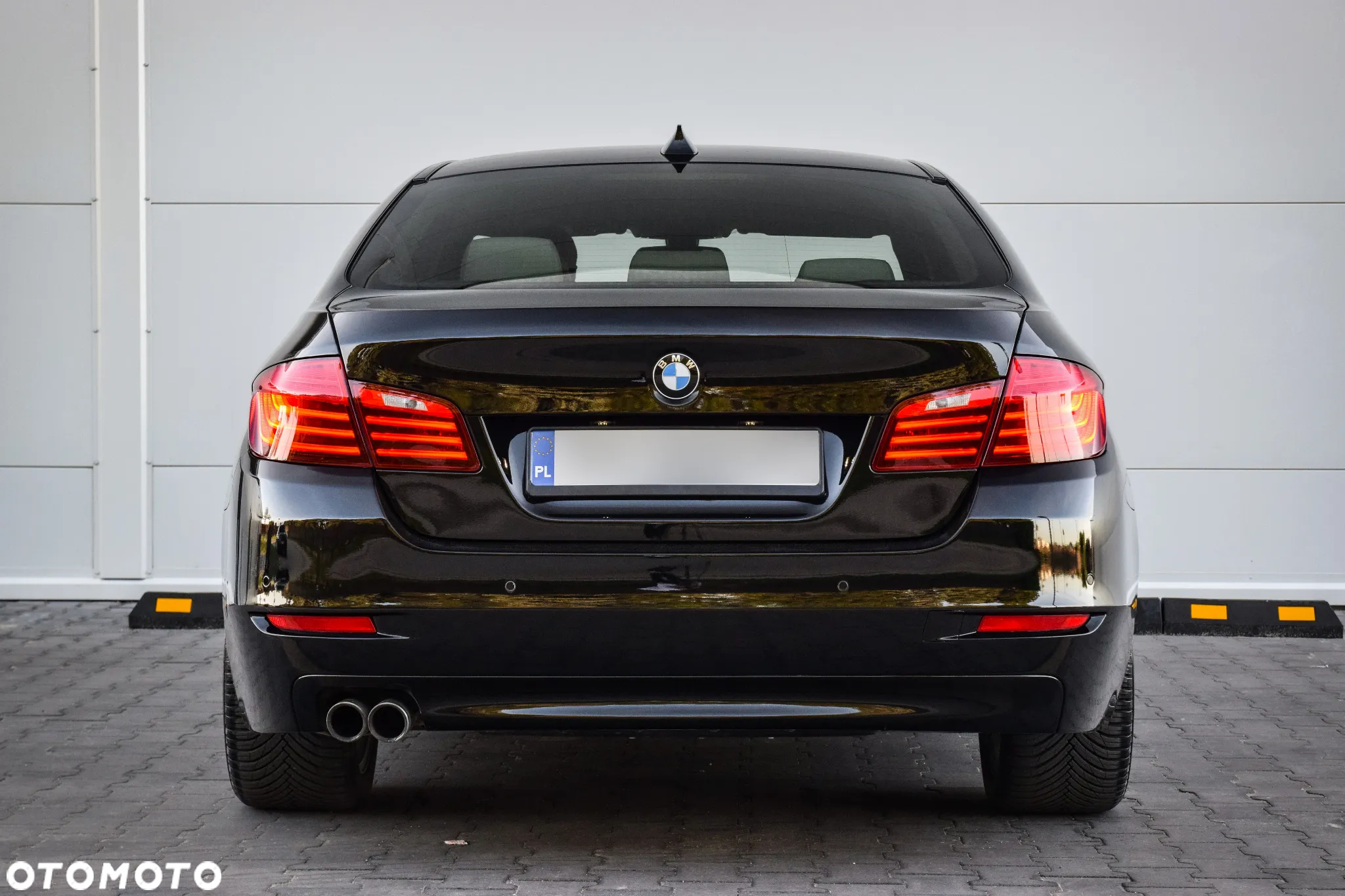 BMW Seria 5 518d Luxury Line sport - 11