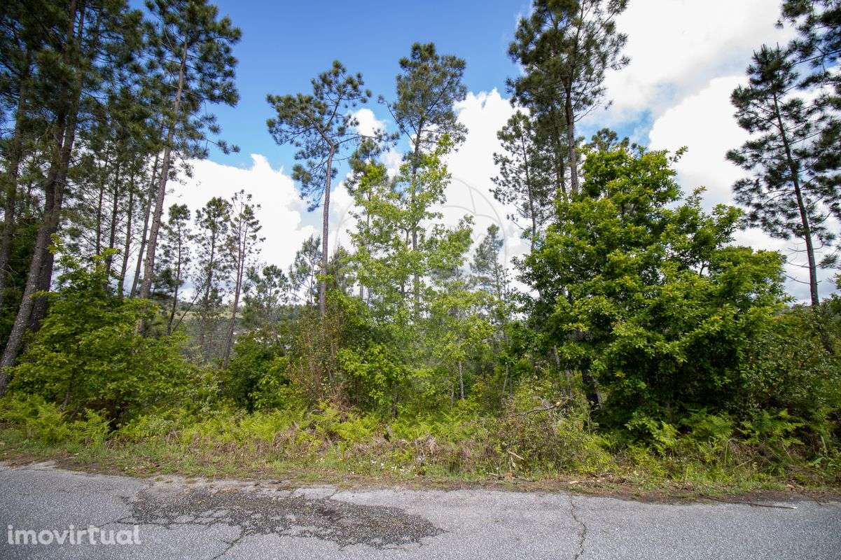 Terreno  para venda - Grande imagem: 3/10