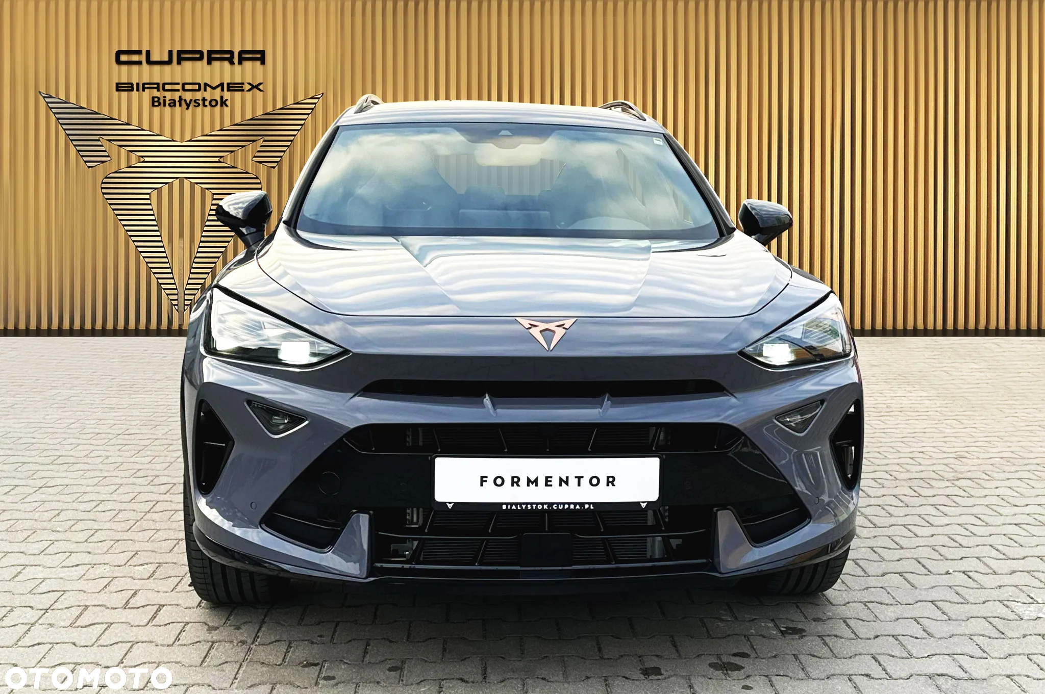 Cupra Formentor 1.5 TSI DSG - 9
