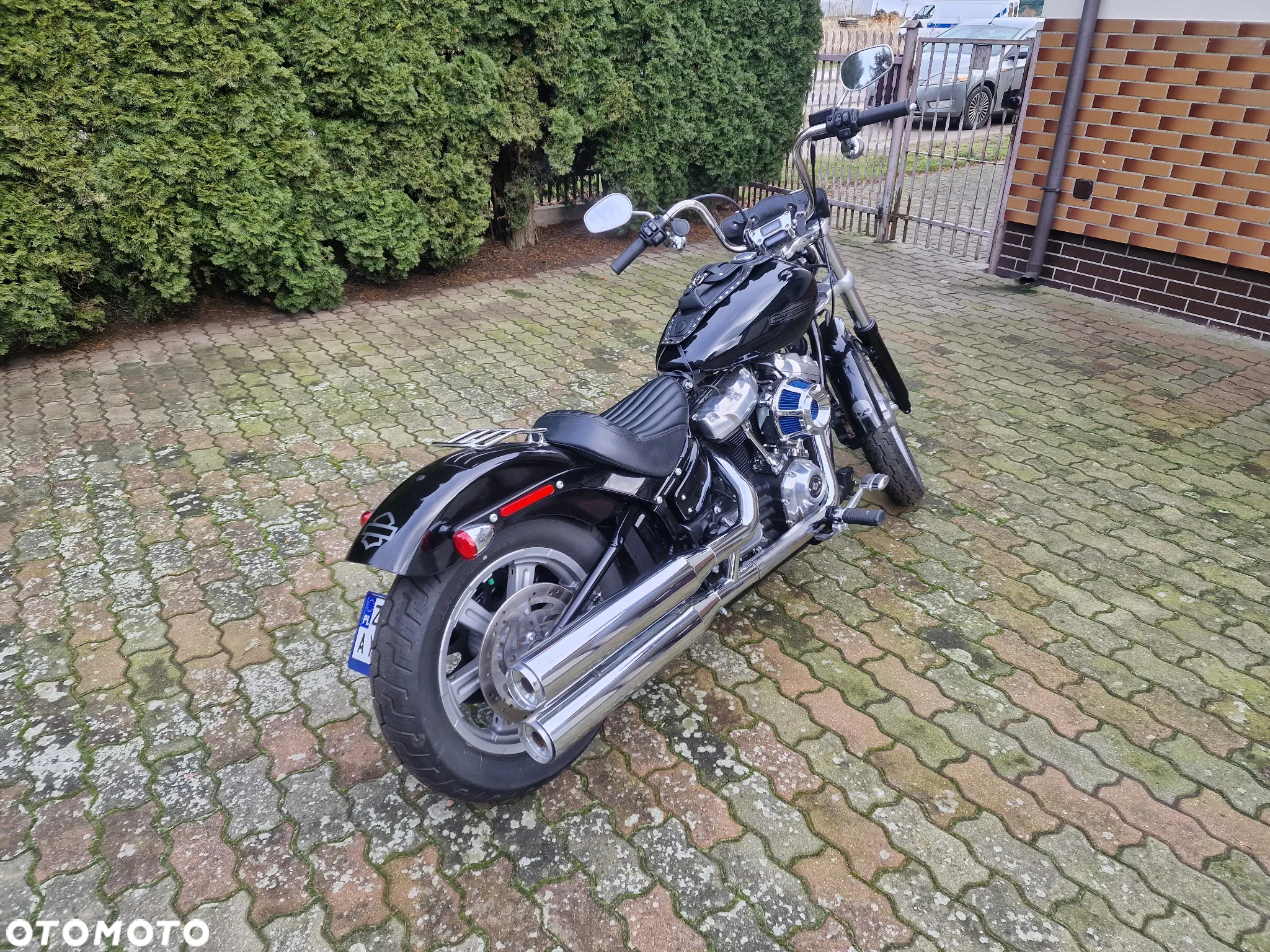 Harley-Davidson Softail - 4