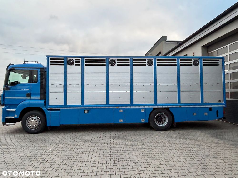 MAN TGS 18.320 2010 rok do przewozu zwierząt , do żywca, do bydła ,zabudowa FINKL z przegordami i wentylatorami , rampa hydrauliczna , z Niemiec - 9