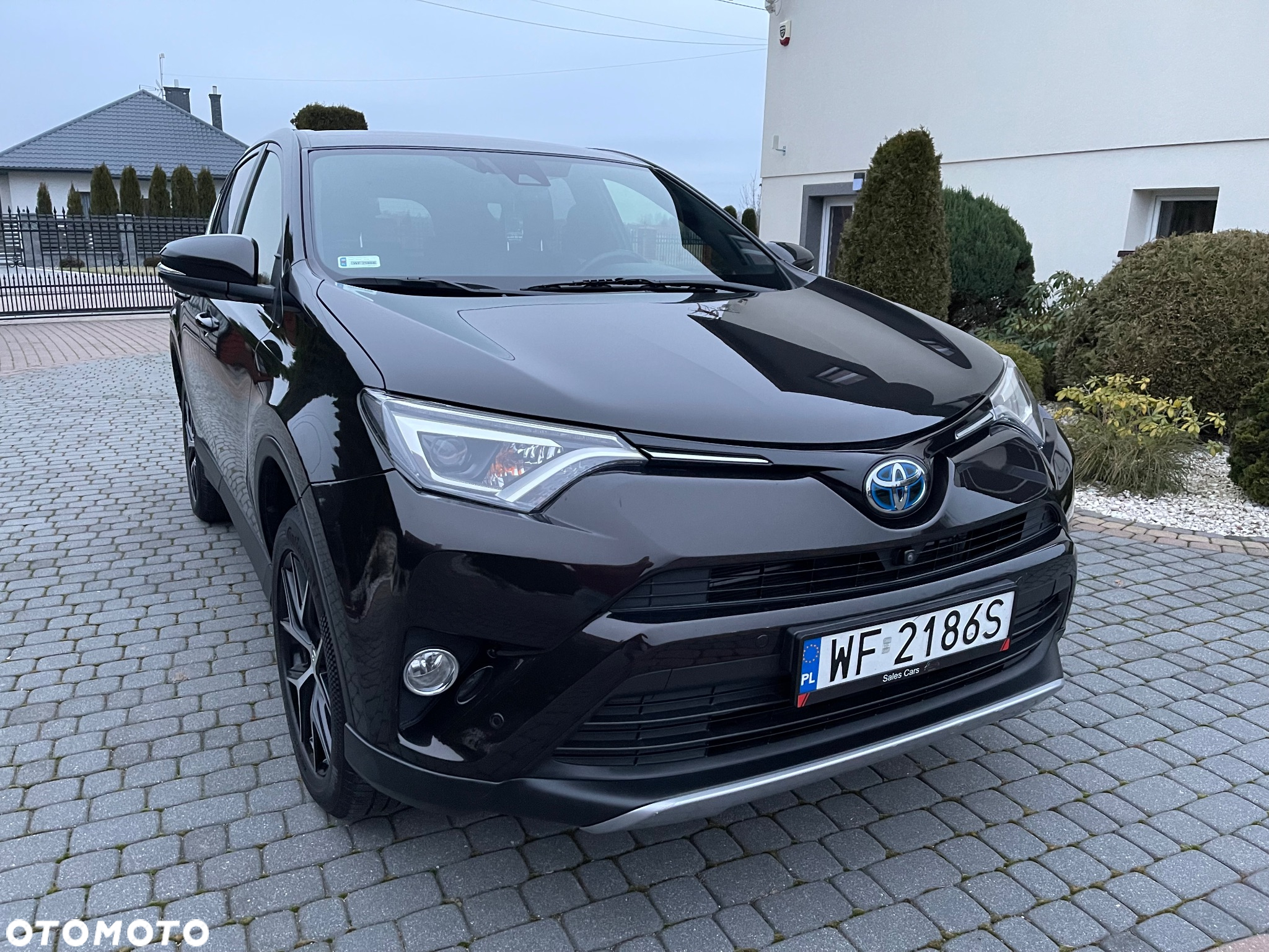 Toyota RAV4 Hybrid Prestige 4x4 - 5