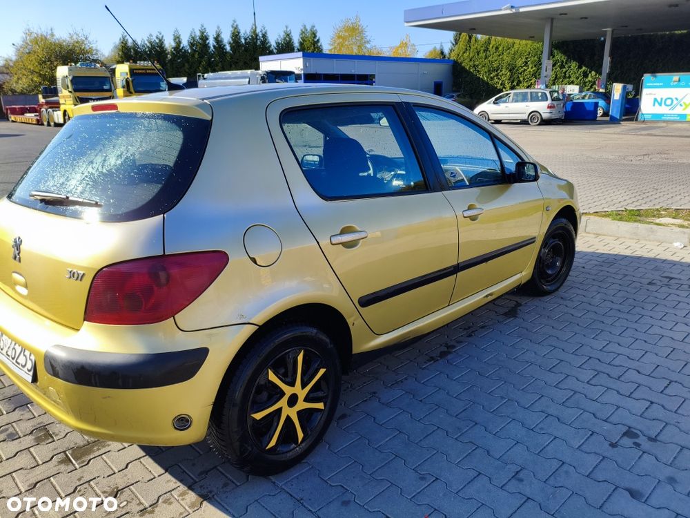 Peugeot 307 - 5