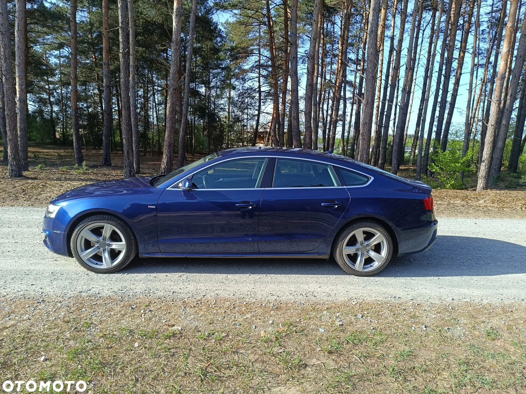 Audi A5 2.0 TDI Sportback DPF - 9