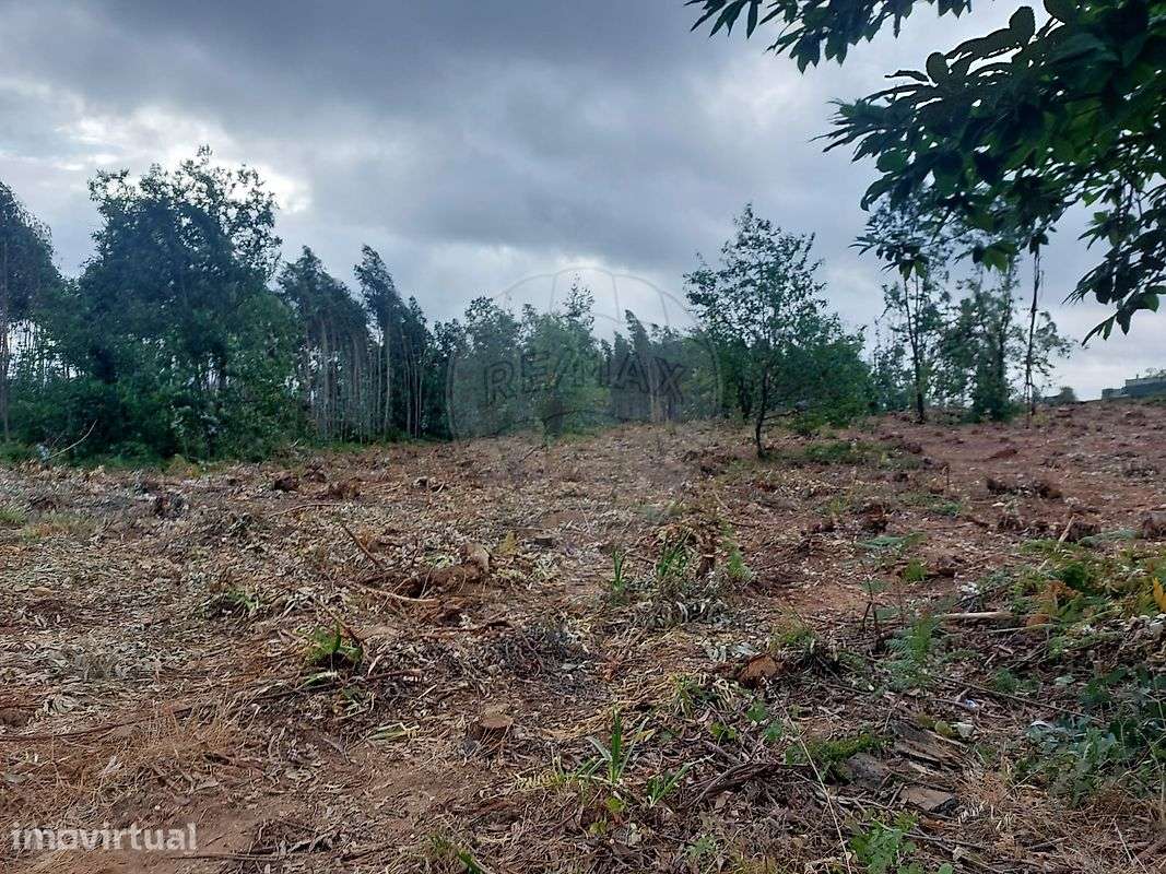 Terreno  para venda - Grande imagem: 2/4