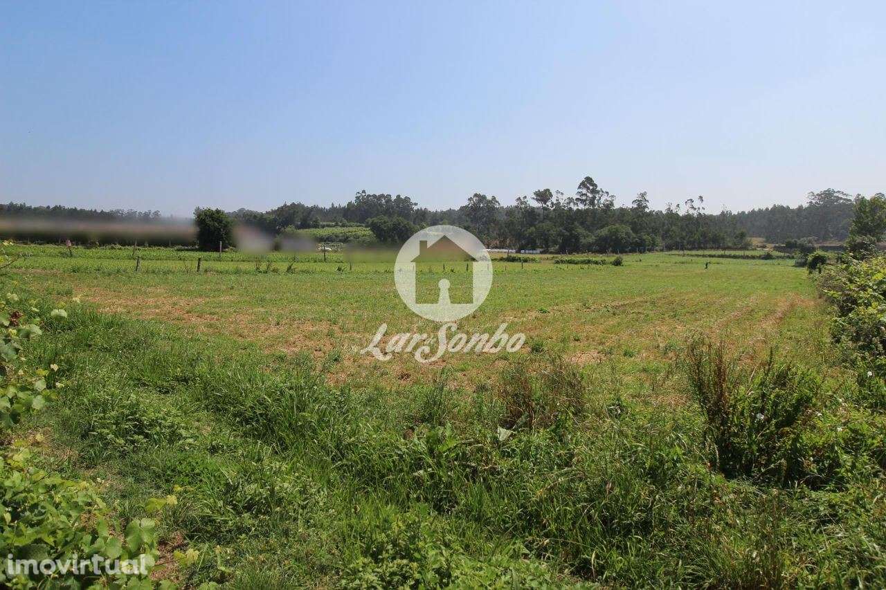 Terreno agrícola com 5000 m2, em Fradelos Vila Nova de Famalicão - Grande imagem: 2/2