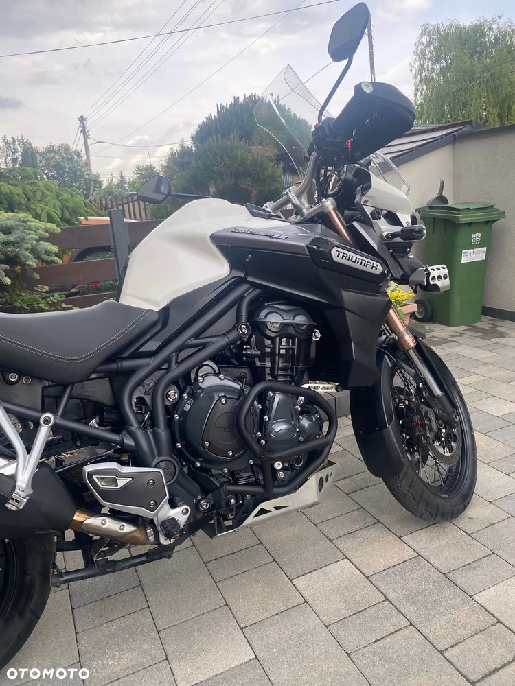 Triumph Tiger - 16