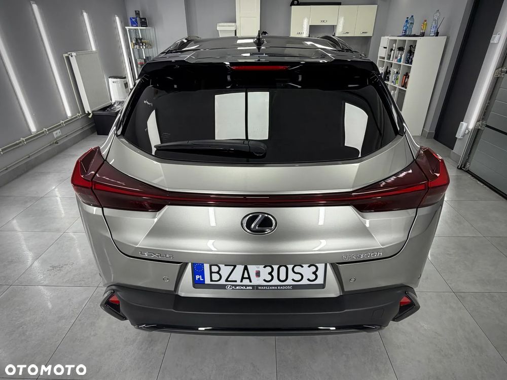 Lexus UX 300h F Sport Design - 10