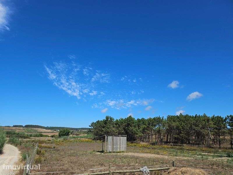 Terreno Agricola perto de Ferrel, Atouguia, Baleal e Peniche 3000m2 - Grande imagem: 3/4
