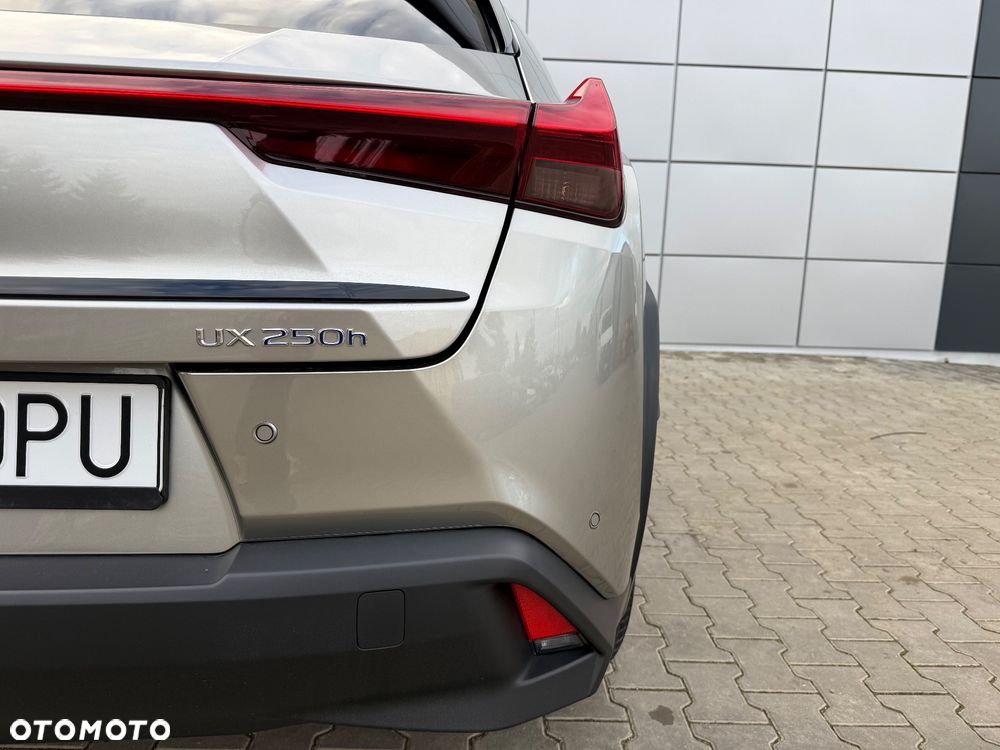 Lexus UX 250h Prestige 2WD - 17
