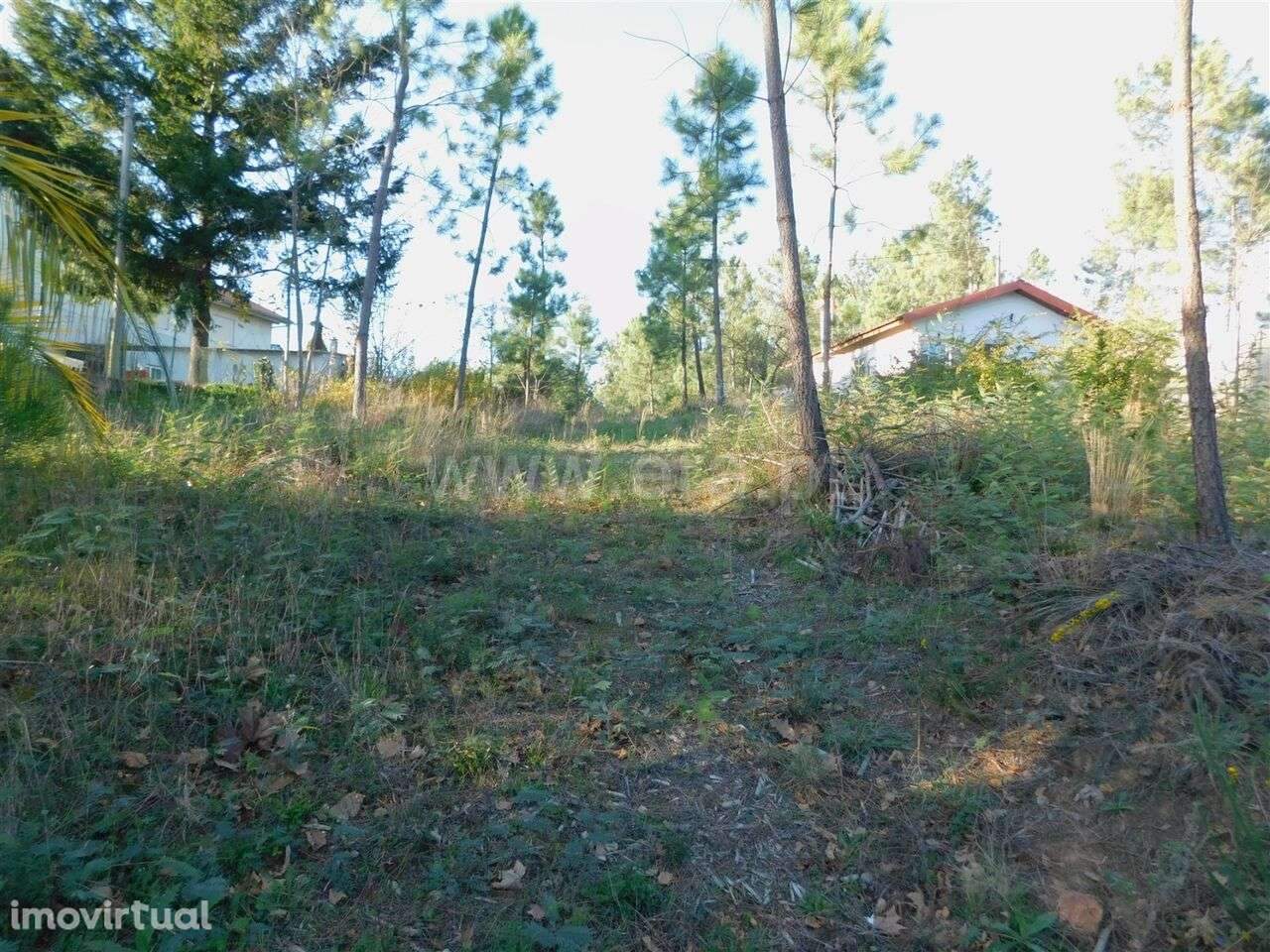 Terreno / Seia, São Romão - Grande imagem: 2/4