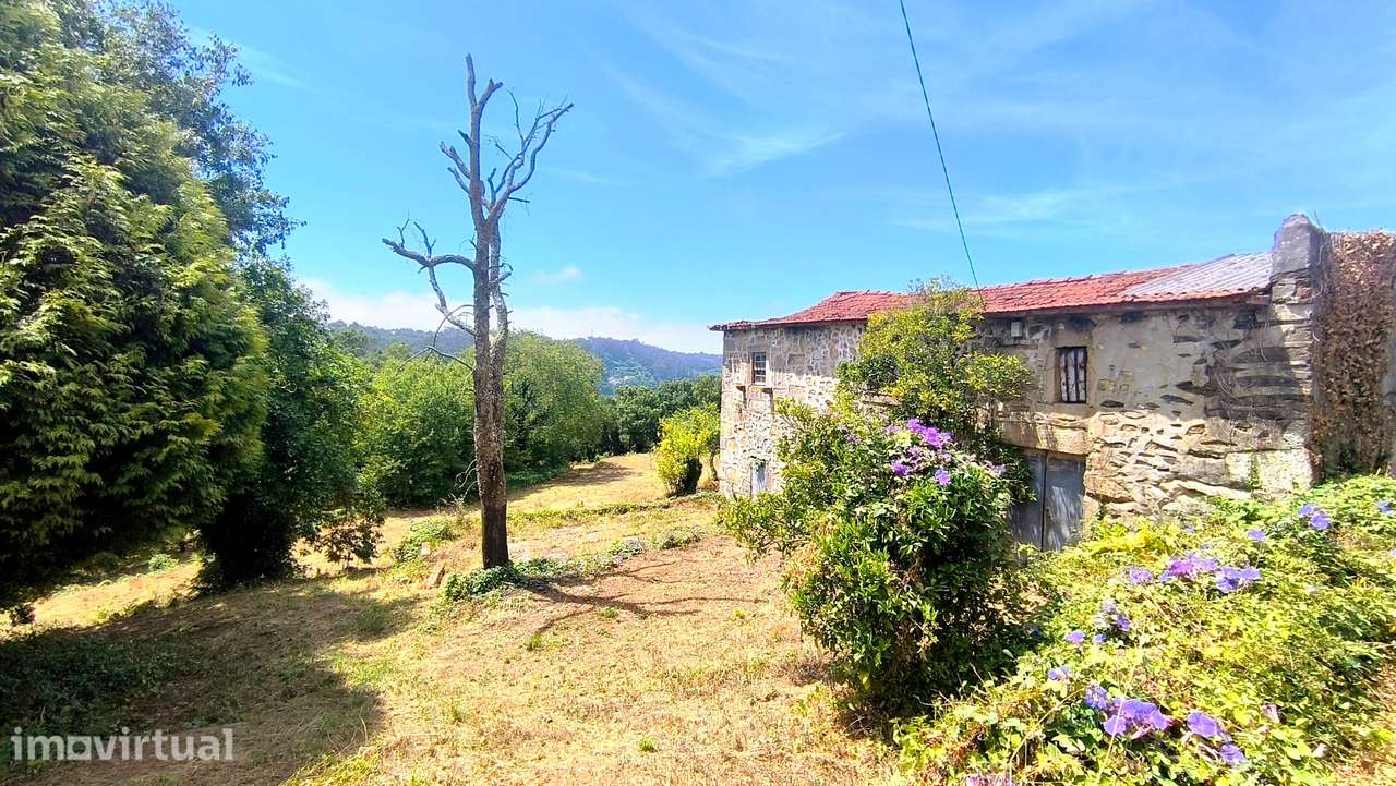 Quinta com 19000 m2 nas margens do Douro - Grande imagem: 2/28