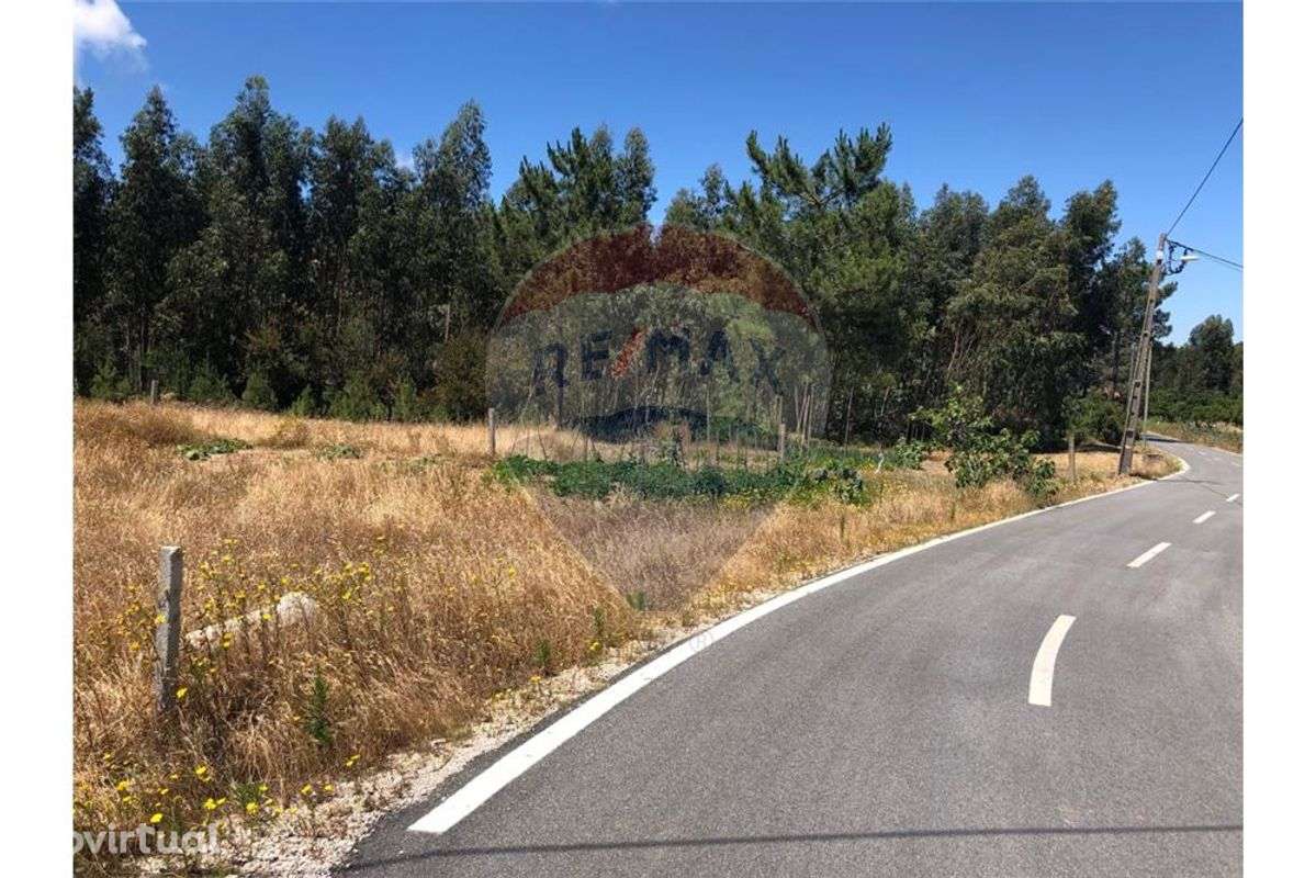 Terreno com 6,317 m2 - Grande imagem: 5/8