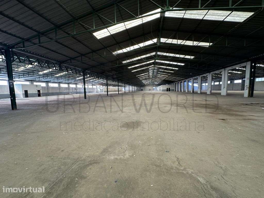 Armazém Industrial, Z. Industrial Torres Novas - Santarém, 12.056 m2 - Grande imagem: 2/39