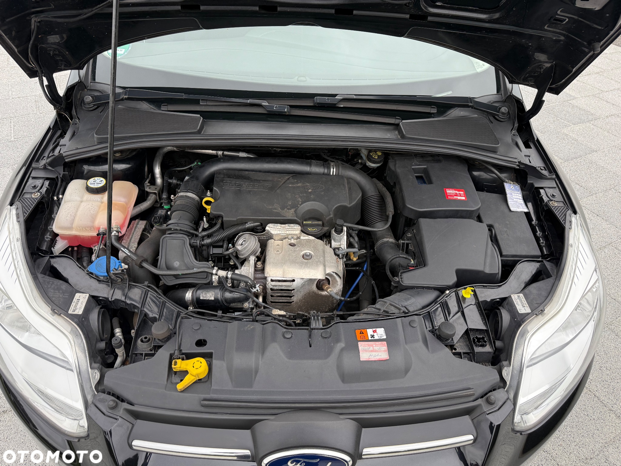 Ford Focus 1.0 EcoBoost Titanium Business - 20