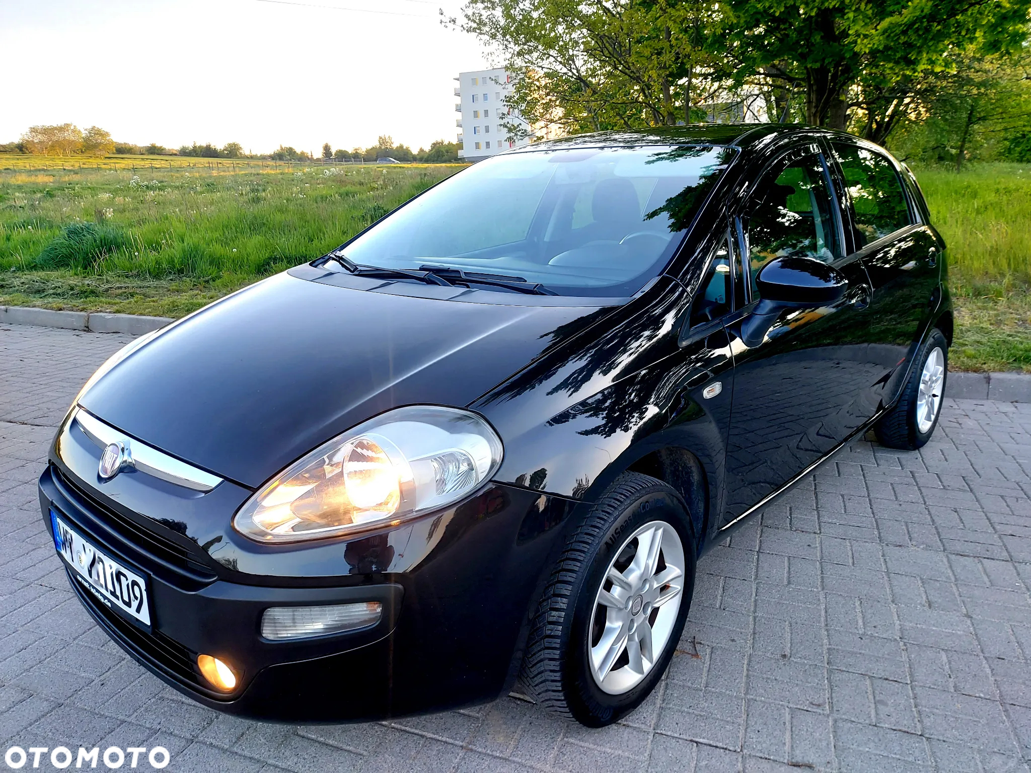 Fiat Punto Evo 1.4 8V Dynamic - 14