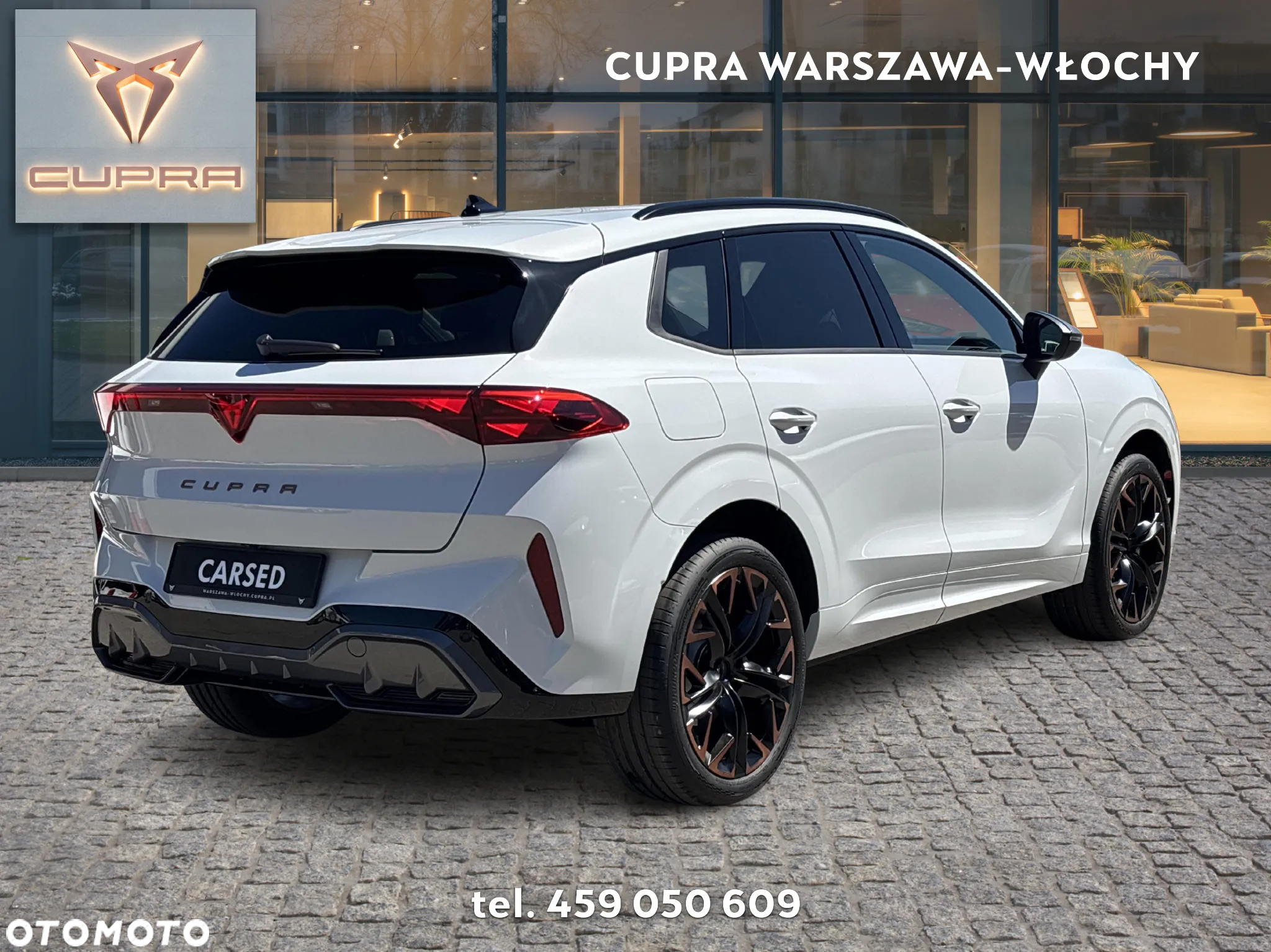 Cupra Terramar 2.0 TSI 4Drive DSG - 5