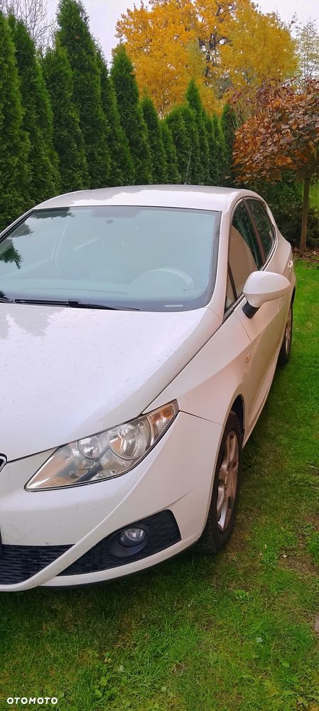 Seat Ibiza - 5