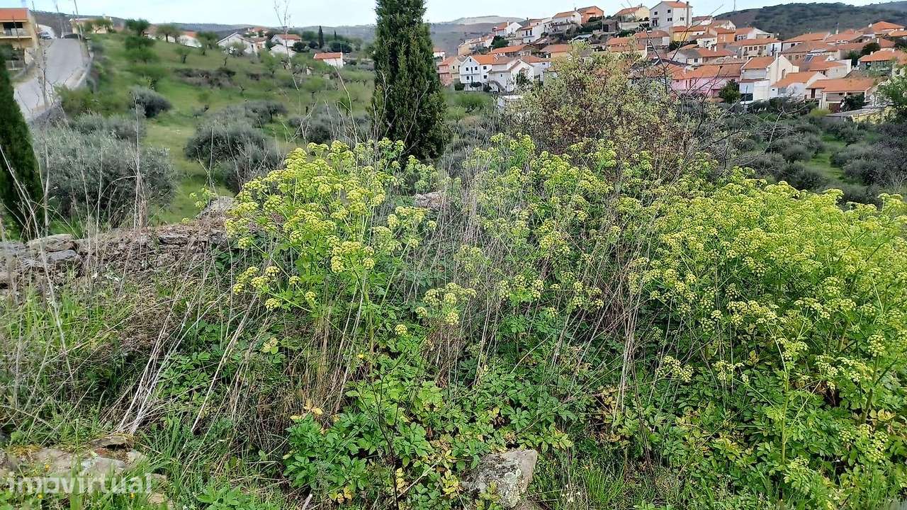 Terreno  para venda - Grande imagem: 4/4
