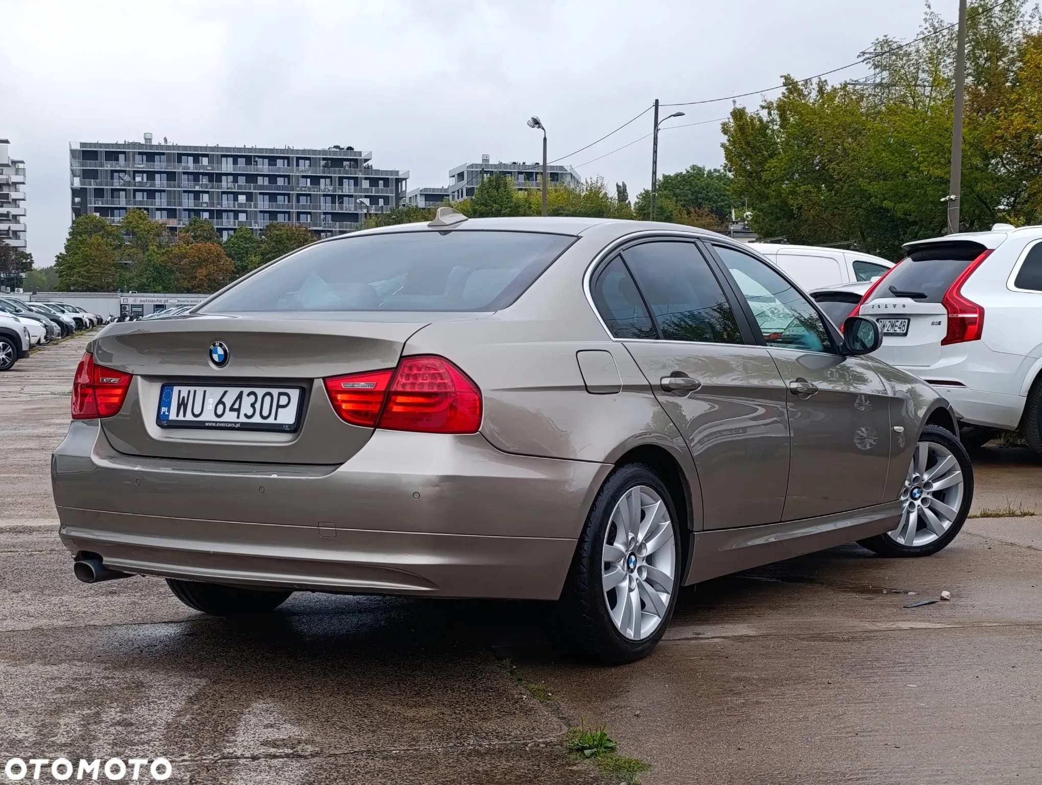 BMW Seria 3 - 23