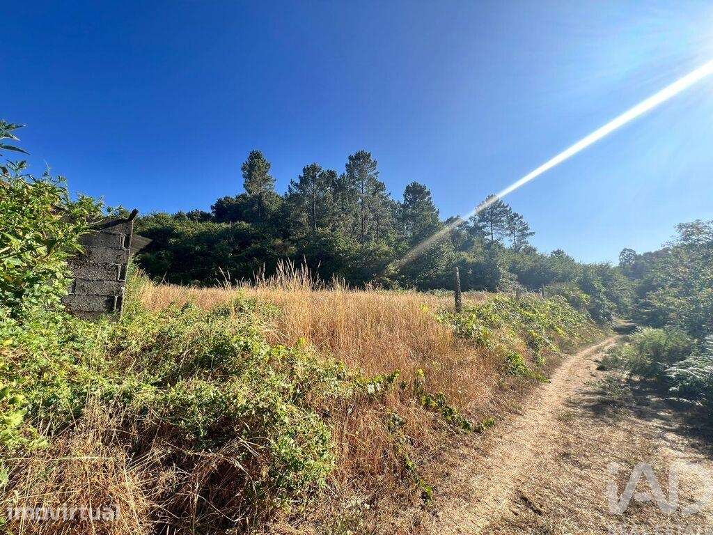 Quinta agricola T2 em Freixo de Cima e de Baixo de 190 m2 - Grande imagem: 4/31