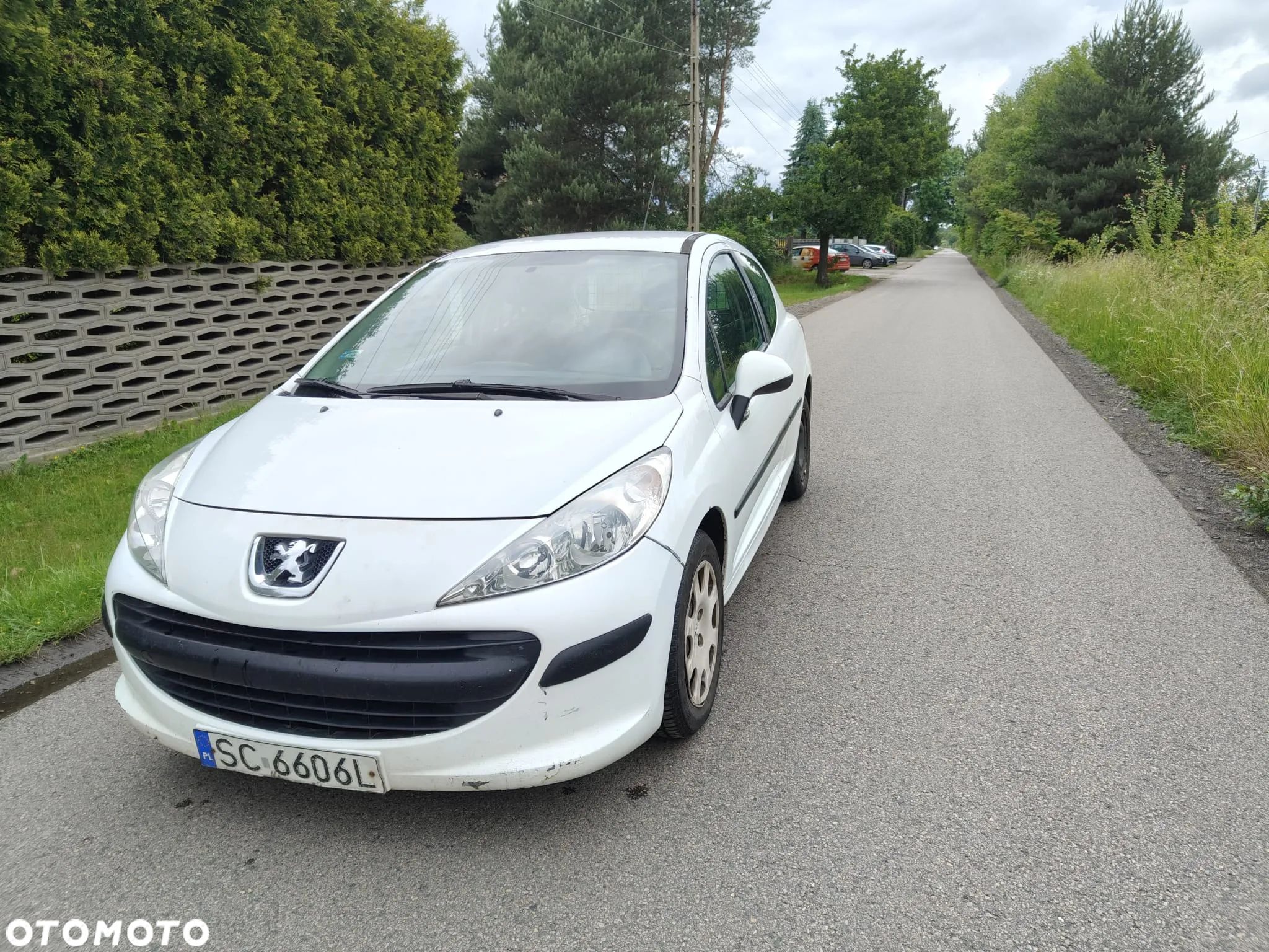 Peugeot 207 - 1