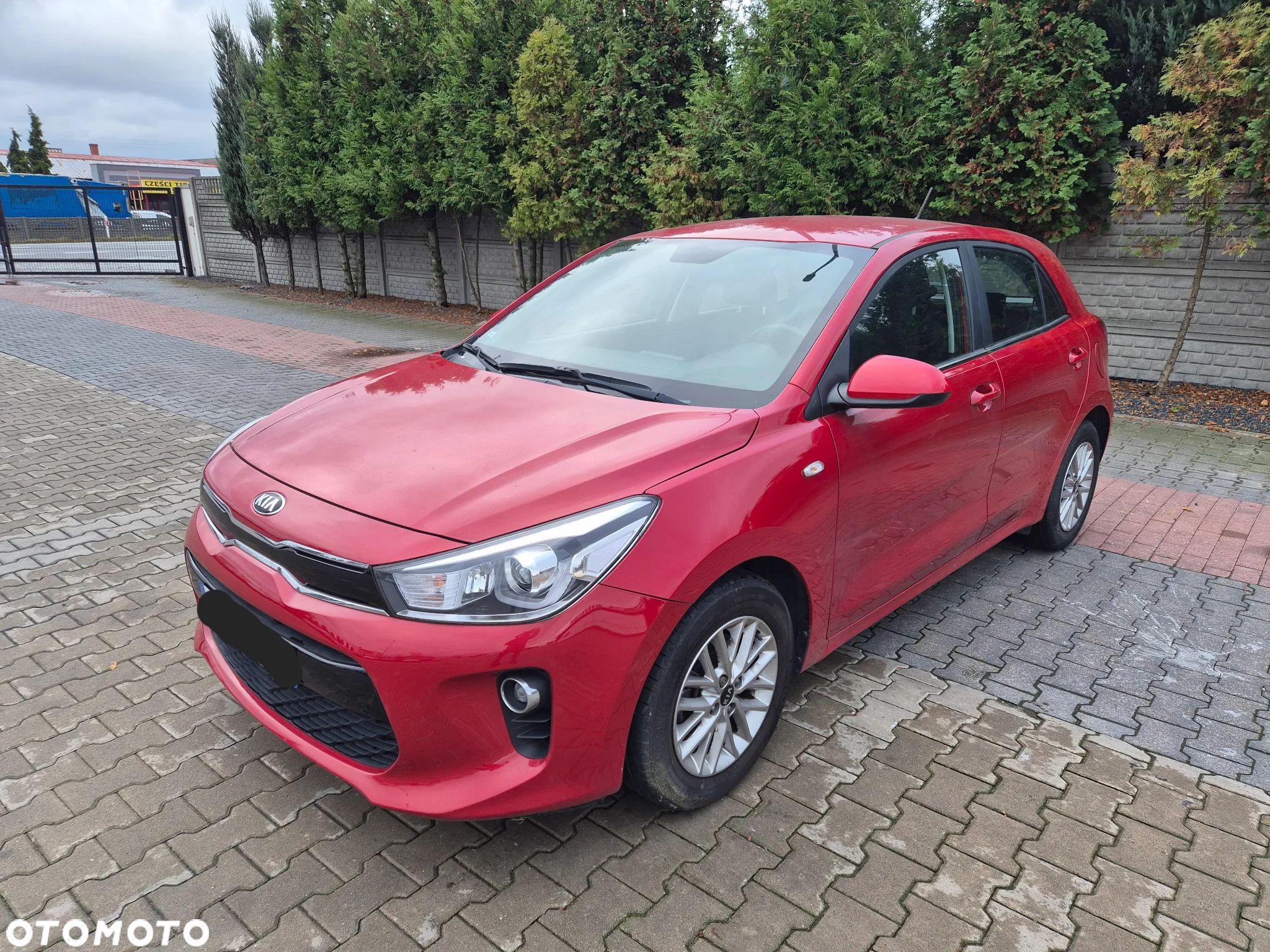 Kia Rio - 1