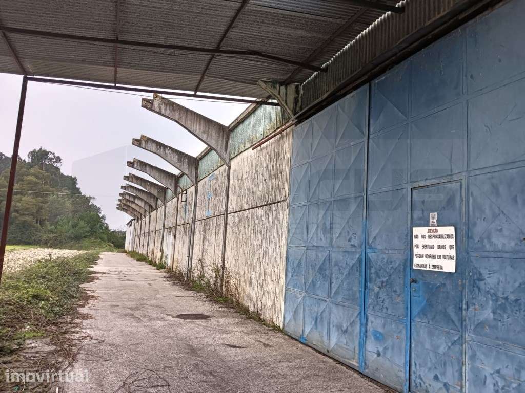 Pavilhão Industrial - Vagos - Grande imagem: 2/4