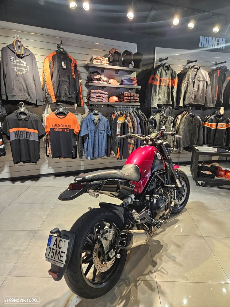 Benelli Leoncino Leoncino 500 - 13