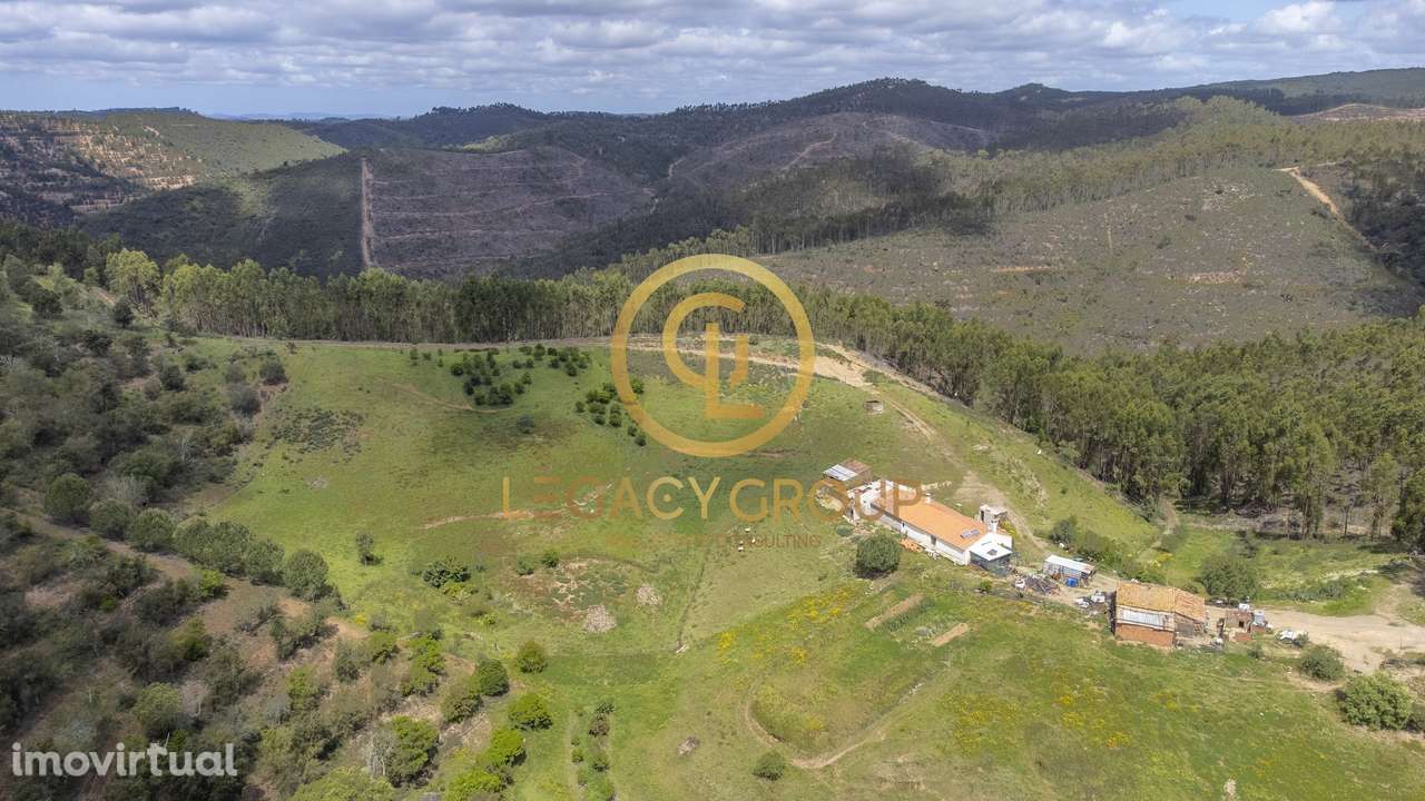 Quinta de 15 ha com habitação de 112m2 em São Martinho das Amoreiras - Grande imagem: 4/44