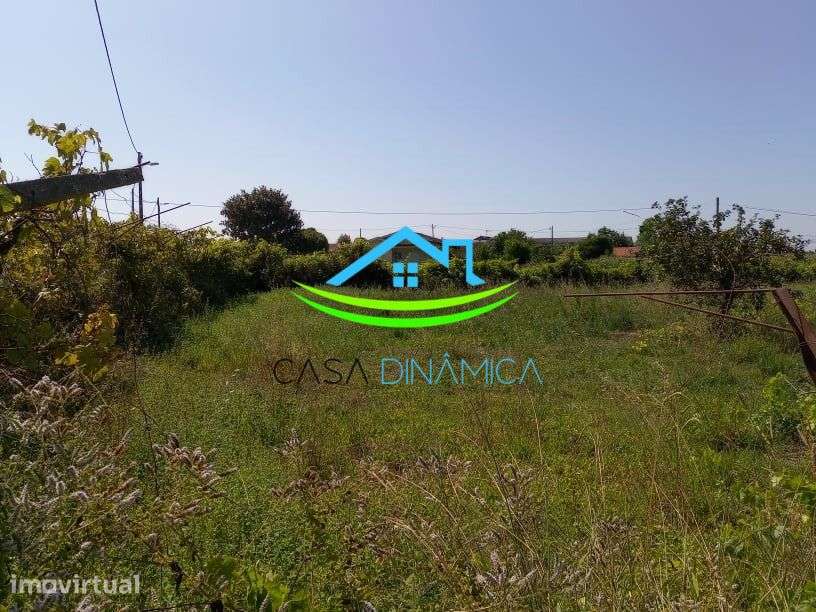 Terreno com Poço em Arazede – Coimbra - Grande imagem: 4/7