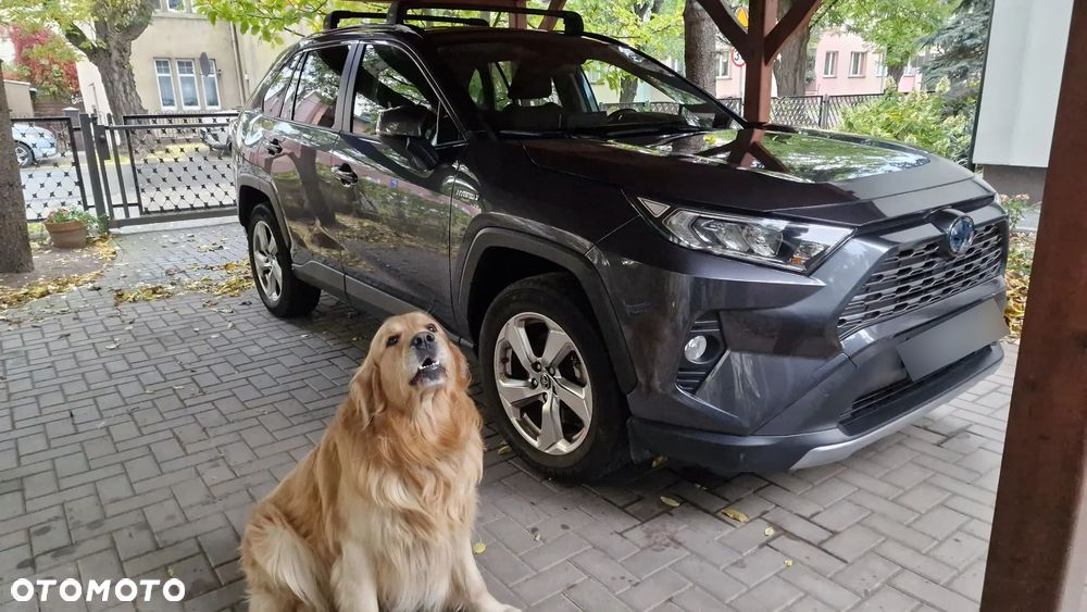 Toyota RAV4 Hybrid Premium 4x4 - 41