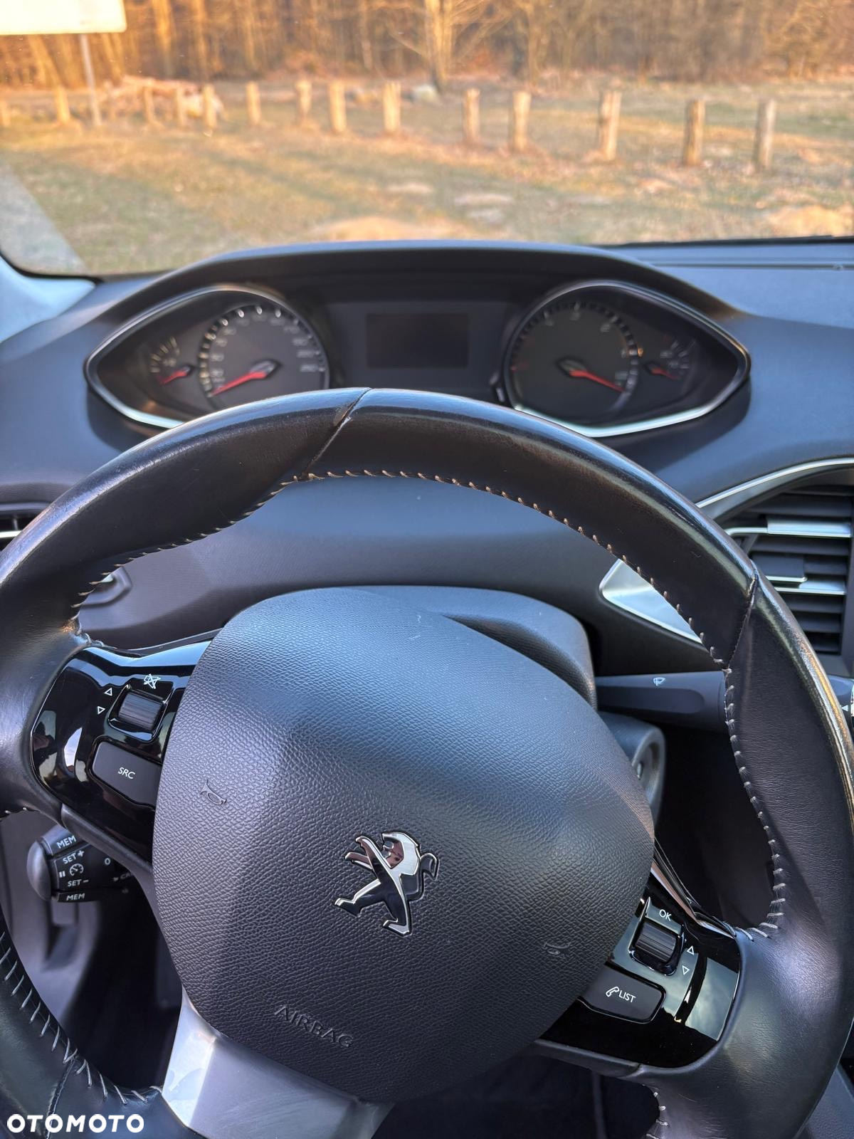 Peugeot 308 SW 1.6 BlueHDi Active S&S - 12
