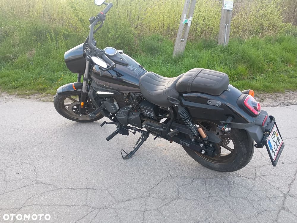 UM Renegade Freedom - 1