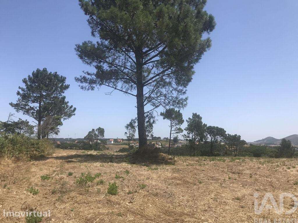 Terreno para construção em Venda do Pinheiro e Santo Estêvão das Galés - Grande imagem: 5/37