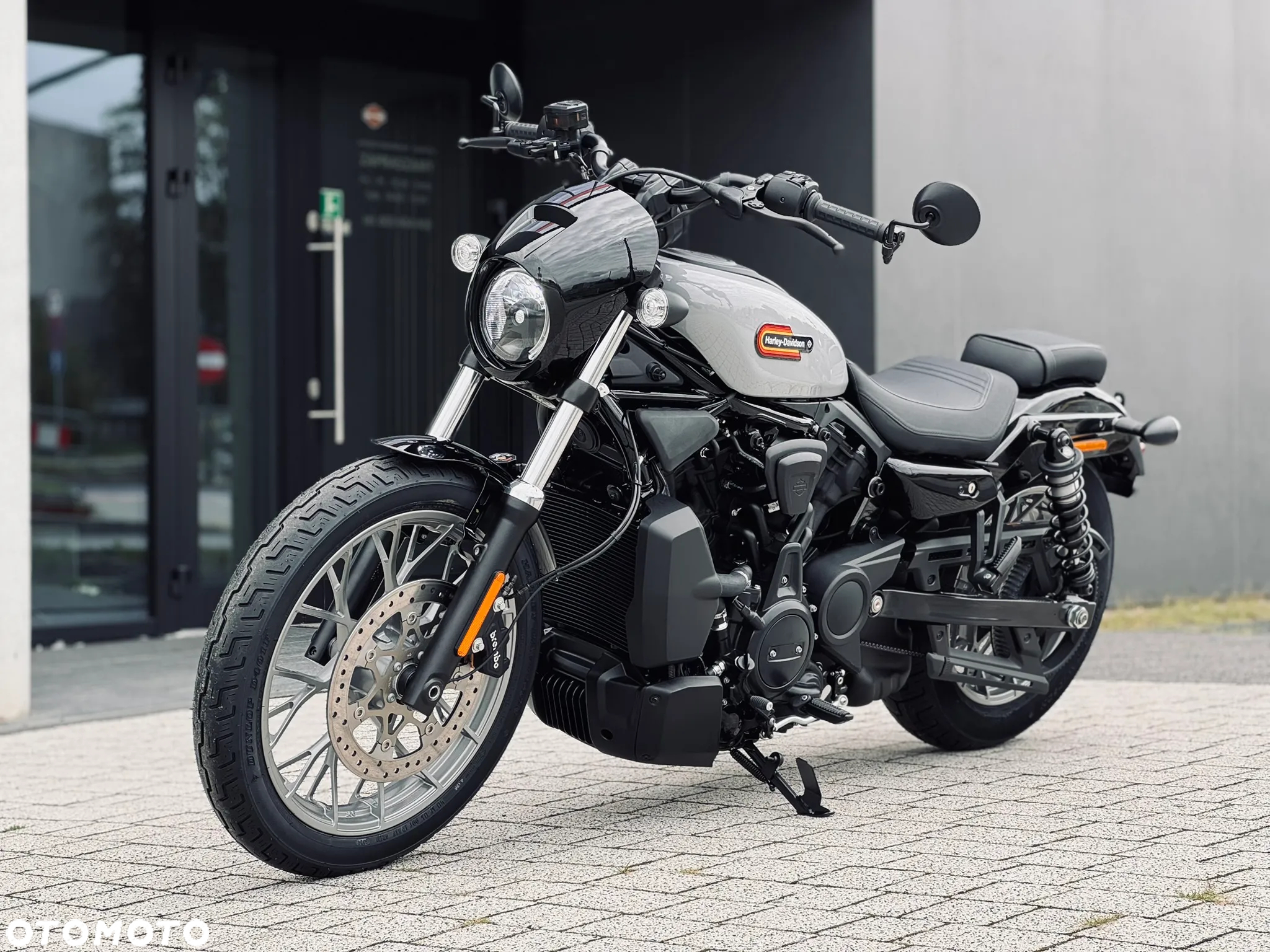 Harley-Davidson Sportster Nightster 975 - 15