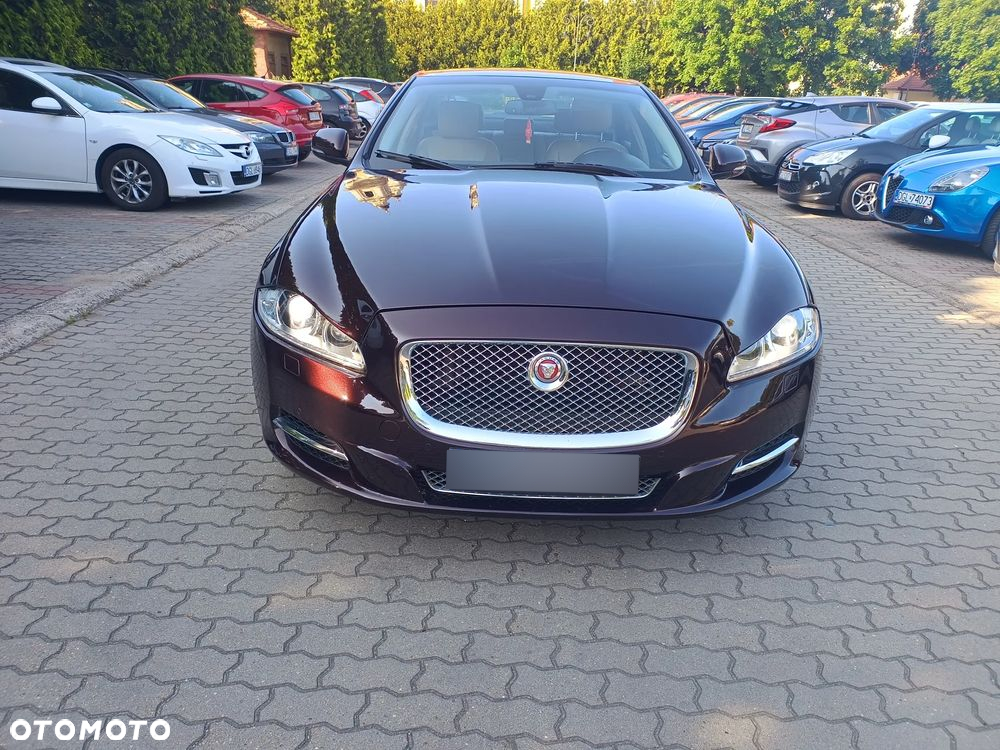 Jaguar XJ 3.0 D V6 Luxury - 12