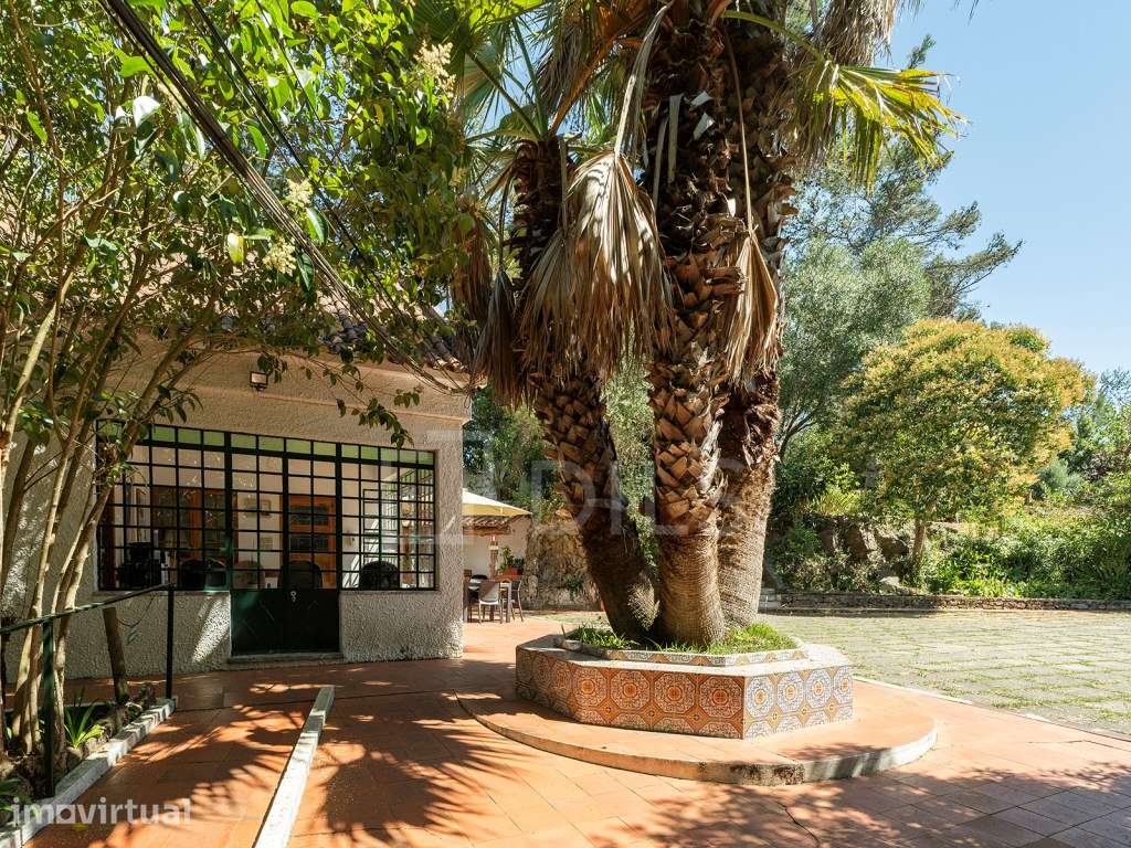 Quinta com terreno, em Sintra - Grande imagem: 5/42