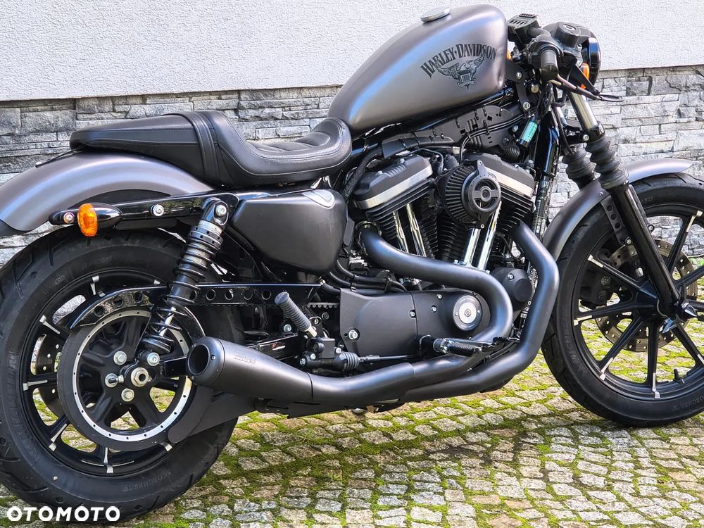 Harley-Davidson Sportster Custom 883C - 2