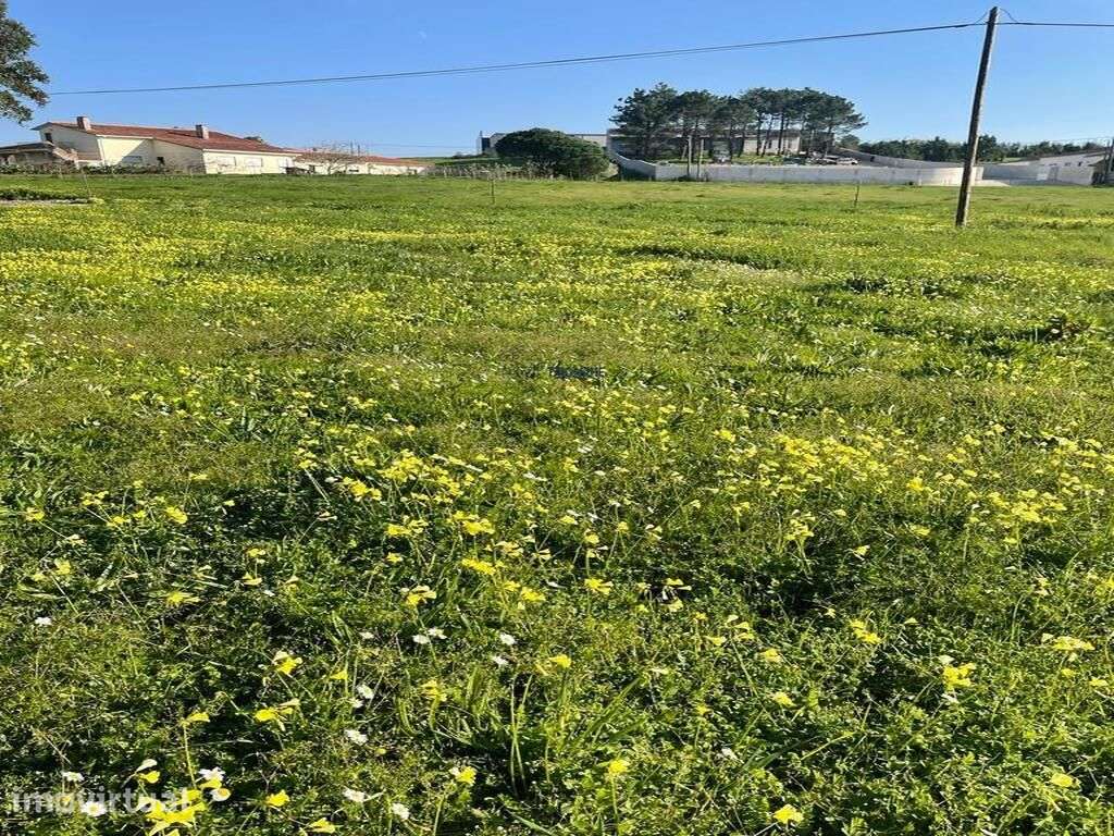 Terreno Viabilidade de Construção Moradia unifamiliar Alfeizerão - Grande imagem: 2/8