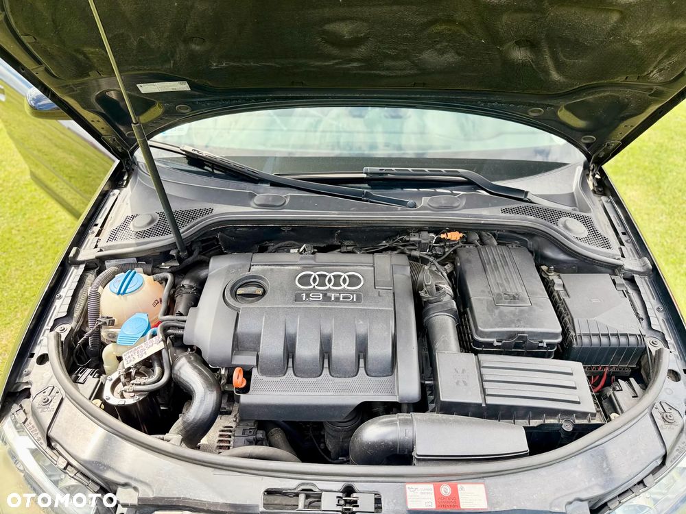 Audi A3 3-drzwiowe 1.9 TDI DPF Ambiente - 22